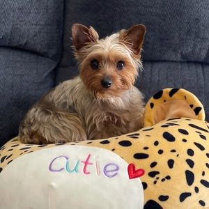 Meet your Posher, Jenny